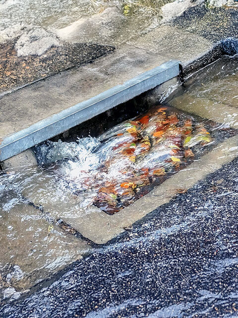 Stormwater Drains
